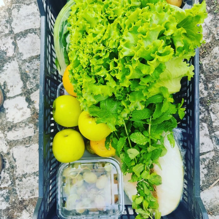 548141899_18499427962066958_8237986124495395805_n.