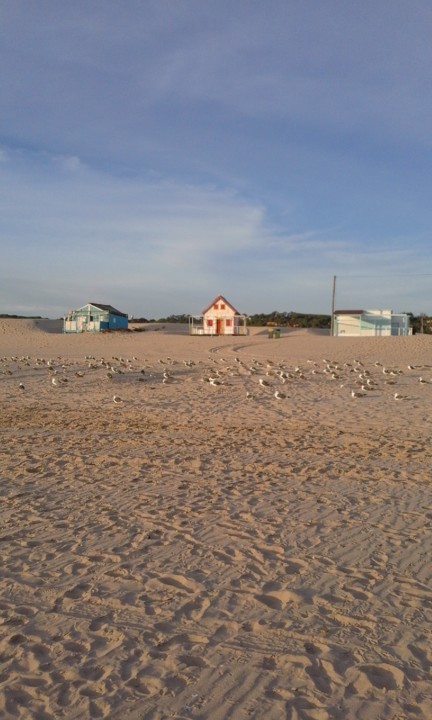 Costa. Casas de veraneio. Foto original. 2020. 08.jpg