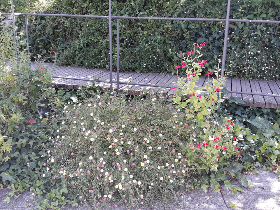 20200524_103958.jpg 20200524_103958.jpg