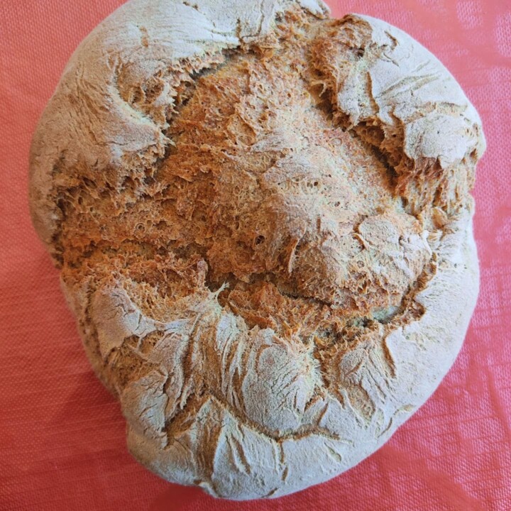 539429744_18495980587066958_578956890399908550_n.j