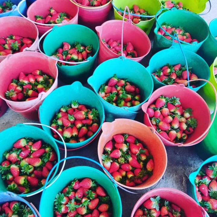 409102760_783735867117159_4705116171369459484_n.jp