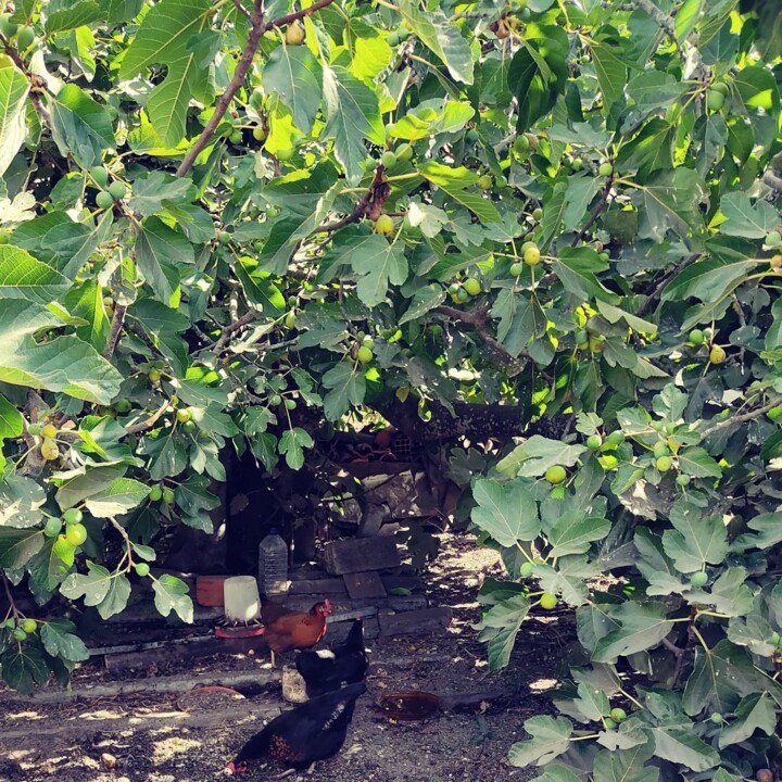 300194830_2390662417740172_8928167326341006269_n.j