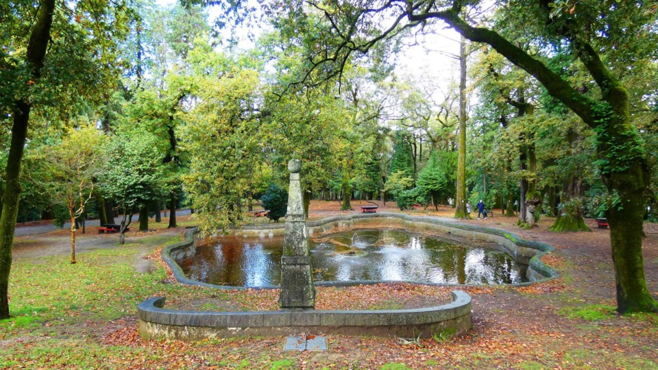 124027120_10218781104853809_5872640894001200318_o.