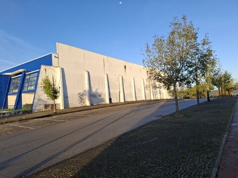 08a_Caminhada_Matinal (63).jpg