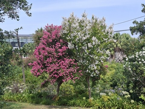 13a_Quinta_do_Mourão (29).jpg