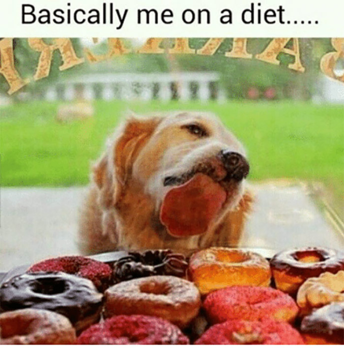 funny-diet-weight-loss-memes-200-5c949fc3eb3cb__70