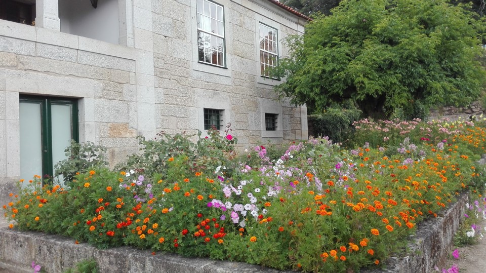 IMG_20170722_124427.jpg IMG_20170722_124427.jpg