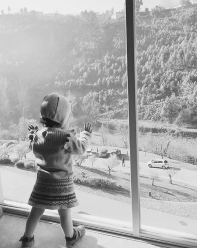 douro 41 quuarto douro 41 quuarto