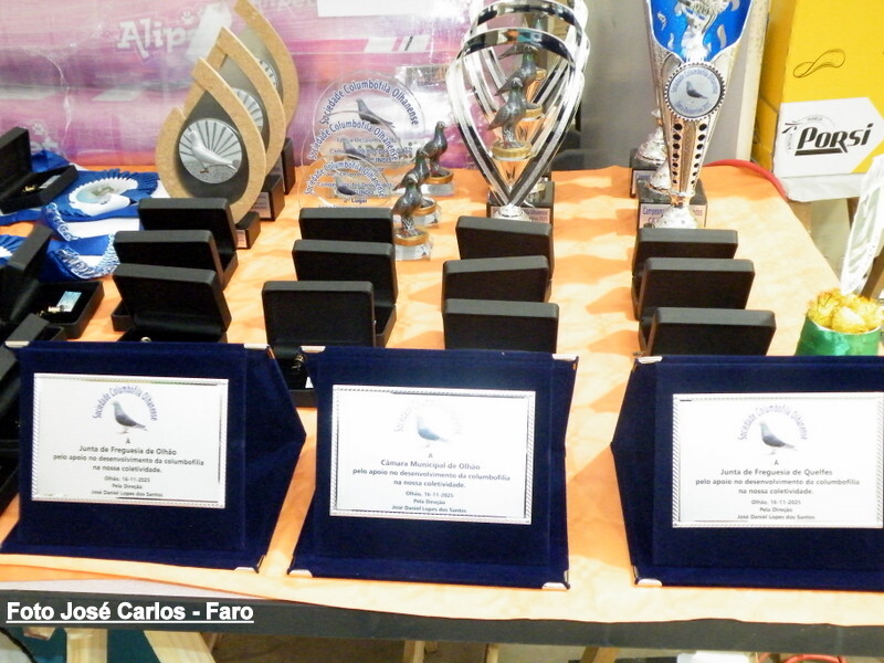 DSCF5001 - Cópia.JPG