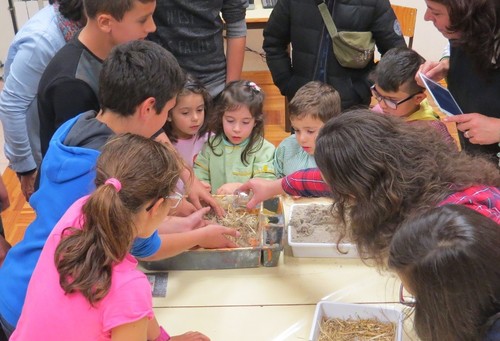 Ilidio Pinho barro (7).JPG