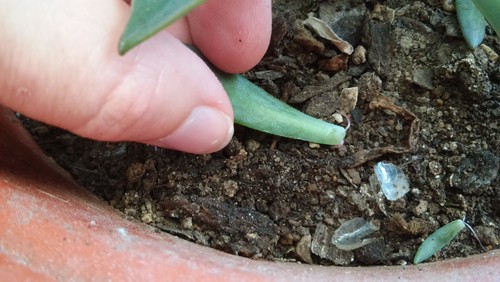 20160719_123333.jpg 20160719_123333.jpg