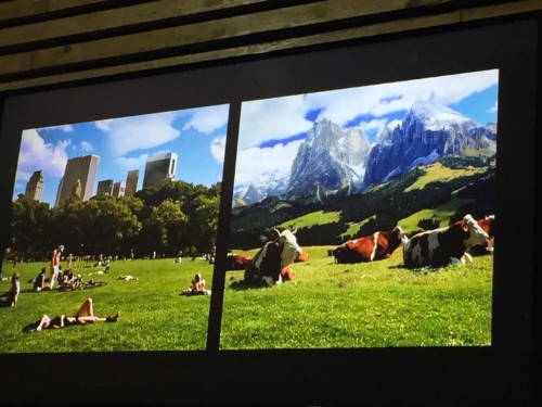 IMG_4680.JPG IMG_4680.JPG