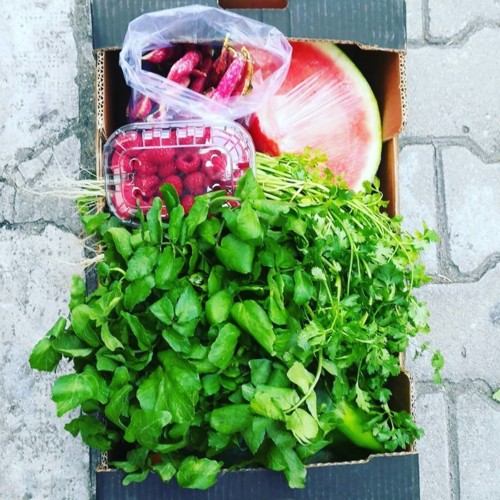 37776216_1159132034226556_4470901225302261760_n.jp