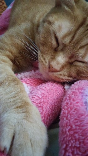 riskitas.jpg riskitas.jpg