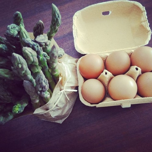 13769512_734728743333556_4386824437298932579_n.jpg 13769512_734728743333556_4386824437298932579_n.jpg