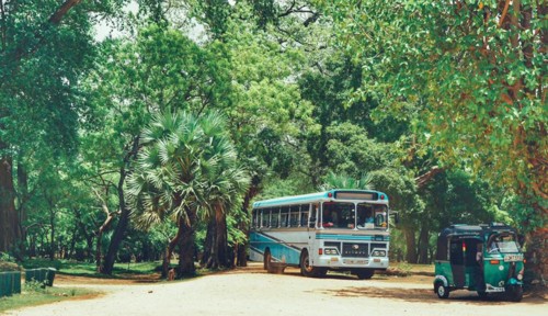 22046438_10214538816054215_5834068548179809854_n.j