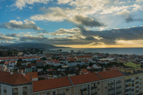 DSC09390.jpg DSC09390.jpg