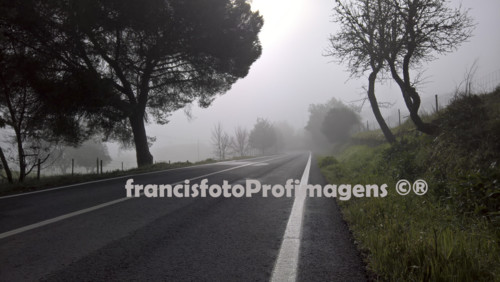 Tons e sons do tempo.jpg