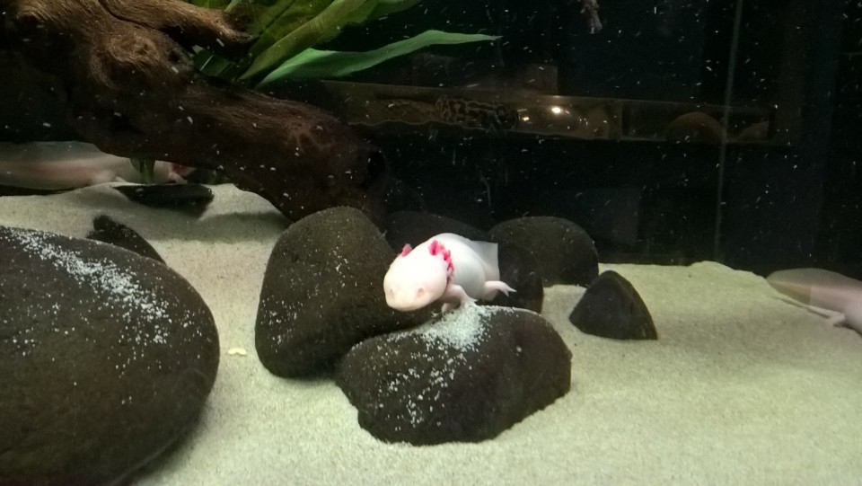 WP_20191023_15_43_08_Pro.jpg WP_20191023_15_43_08_Pro.jpg