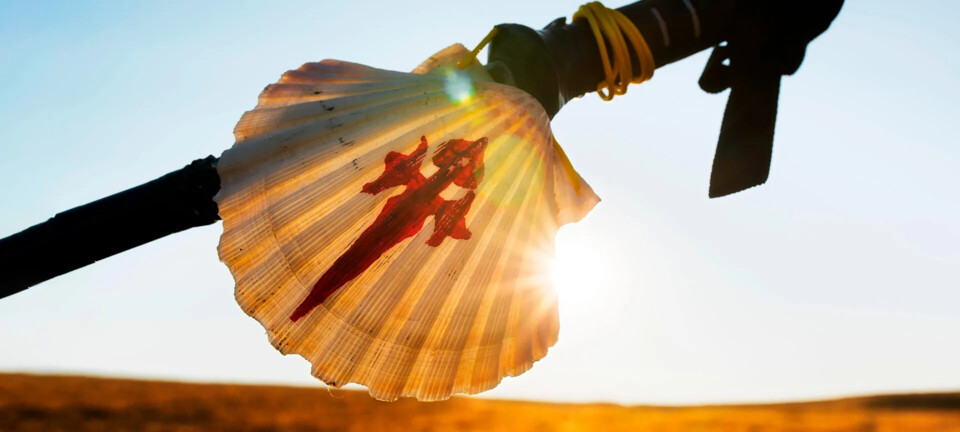concha-de-peregrino-camino-de-santiago-s1297835656