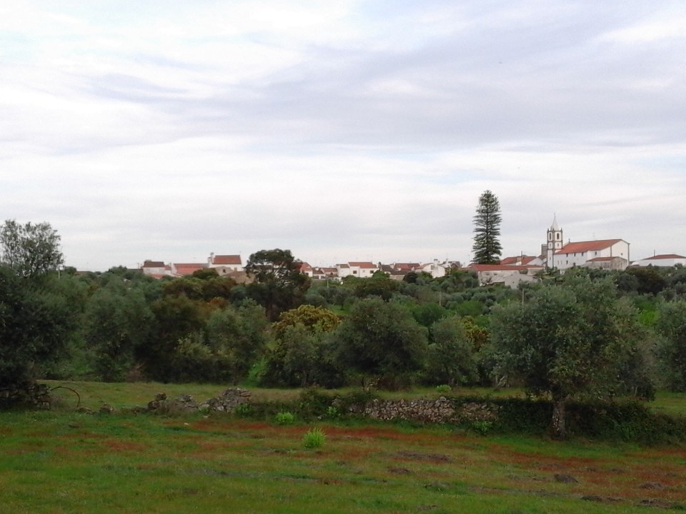 Foto original. Aldeia. 2019. jpg