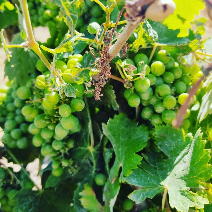 512491297_18485960668066958_4116702710176982140_n.