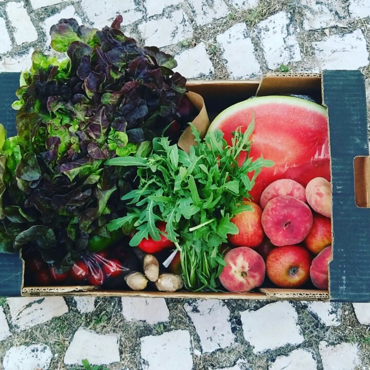 289309325_2339951802811234_8722531713195911453_n.j