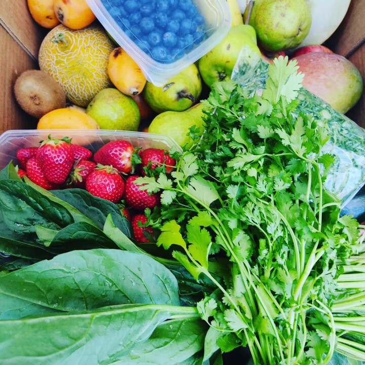 440475377_822933273197418_2171176770035056080_n.jp