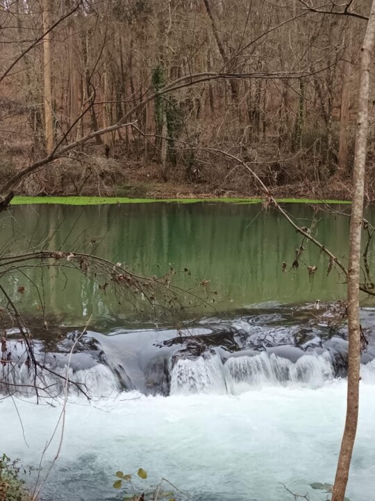Não me canso disto caminhada2.jpg