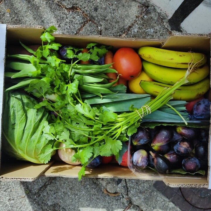 552326339_18500427079066958_1947383501949527417_n.