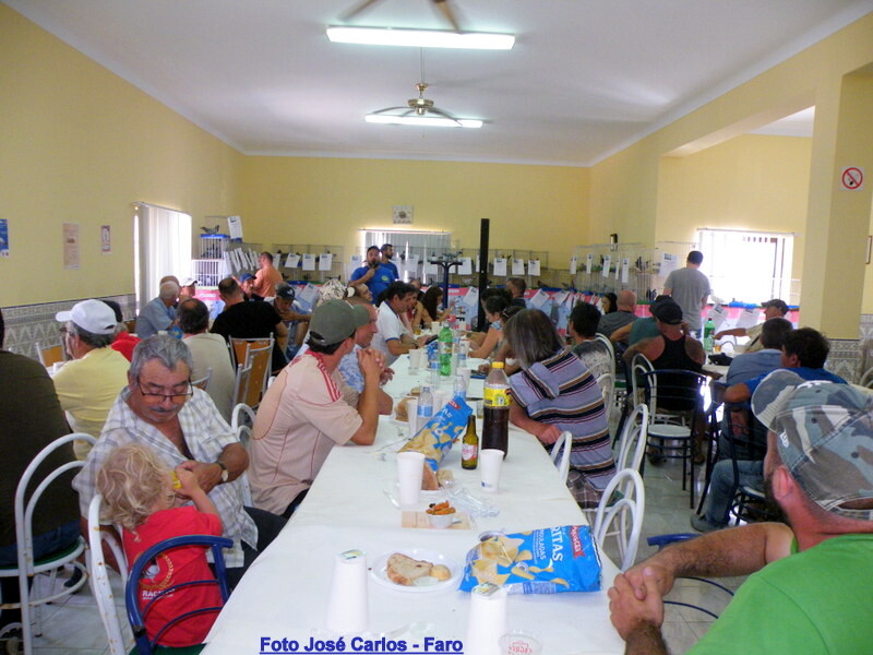 DSCF5040 - Cópia.JPG