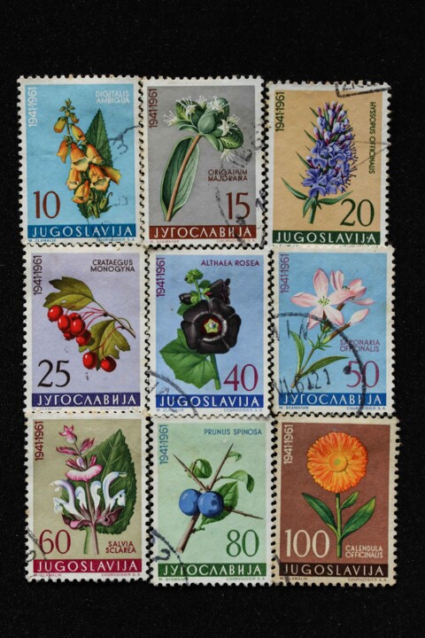 selos jugoslavia-11.jpg