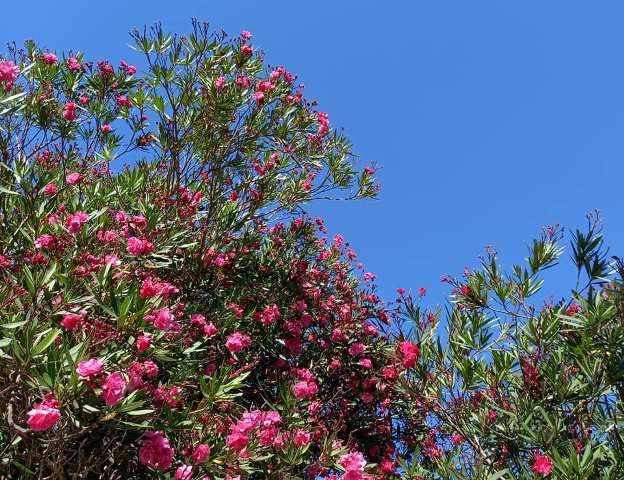 241460049_4223868504395089_7864774158167738933_n.j