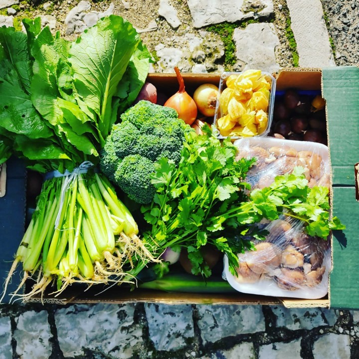 125566386_1873385469467872_1865602654093893821_o.j