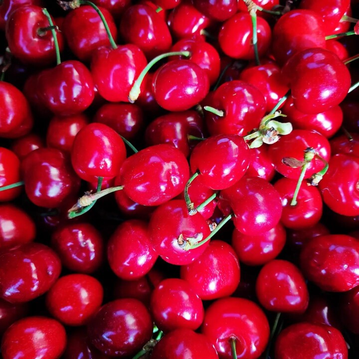 280704583_2308958732577208_2887666838010245179_n.j