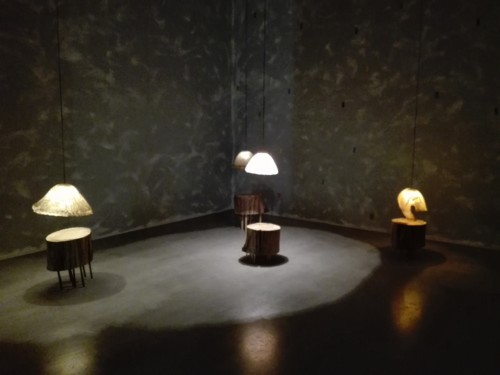 IMG_20180629_162624.jpg IMG_20180629_162624.jpg