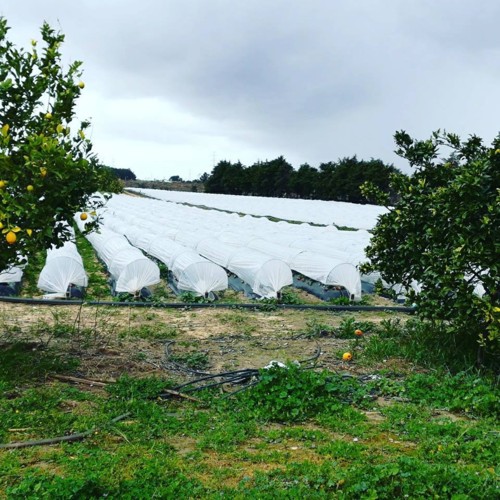 28870771_1058515974288163_8091759999613868875_n.jp