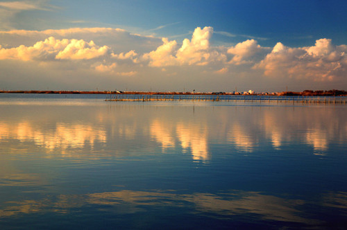 lago-en-calma-c60694af-faab-49b5-8b11-f31ed317d04c