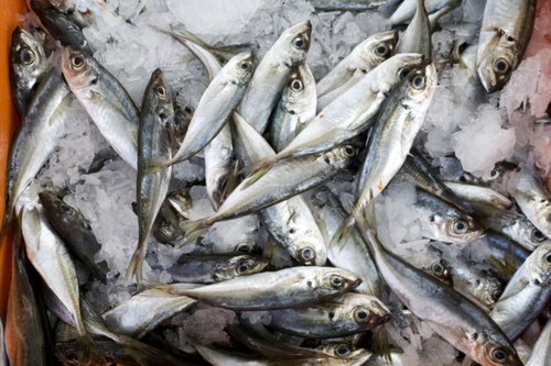 810075.jpg 810075.jpg