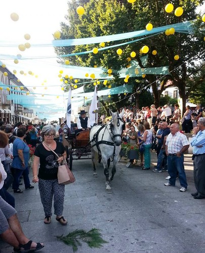 Padornelo no Cortejo Etnográfico de Paredes de Co
