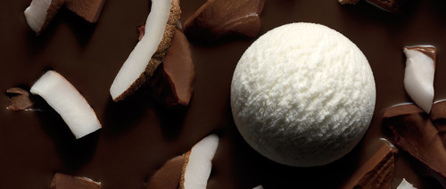 chocolate-coconut-ice-cream-chocolate-sauce-double chocolate-coconut-ice-cream-chocolate-sauce-double