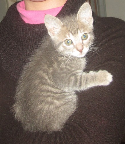 Becas 52.JPG Becas 52.JPG