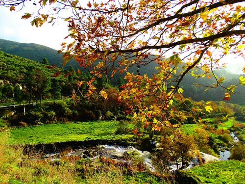 Fotos de Outono !!! 091.jpg