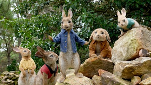 peter rabbit 5.jpg