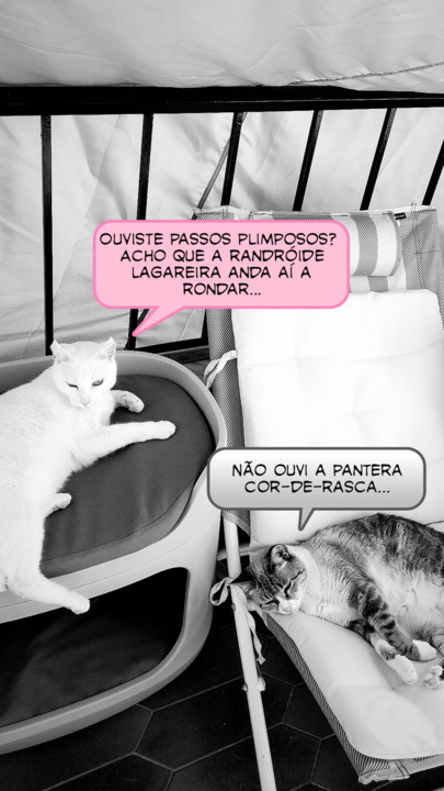 2021-08-18 01-picsay.jpg