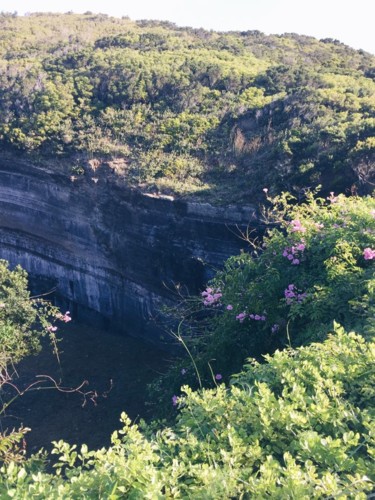 46381373_2227461397533970_8916604818076729344_n.jp 46381373_2227461397533970_8916604818076729344_n.jp