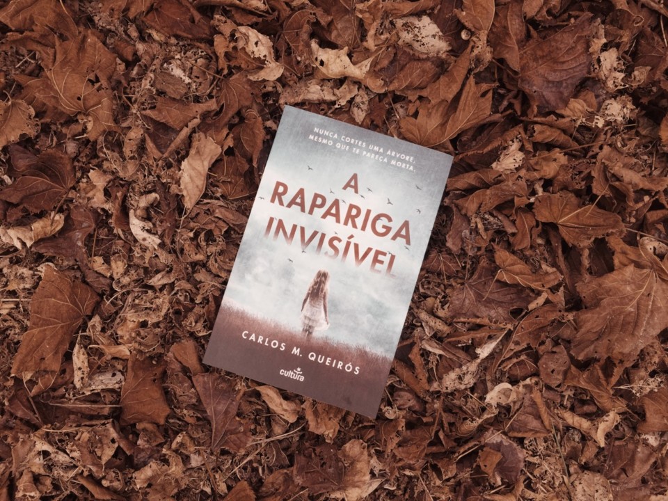 a rapariga invisível.jpg