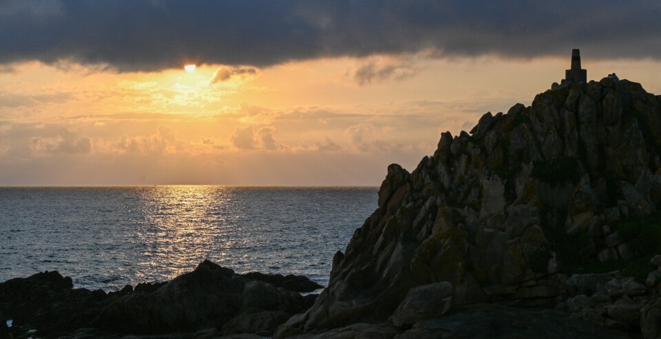 DSC_7996.JPG