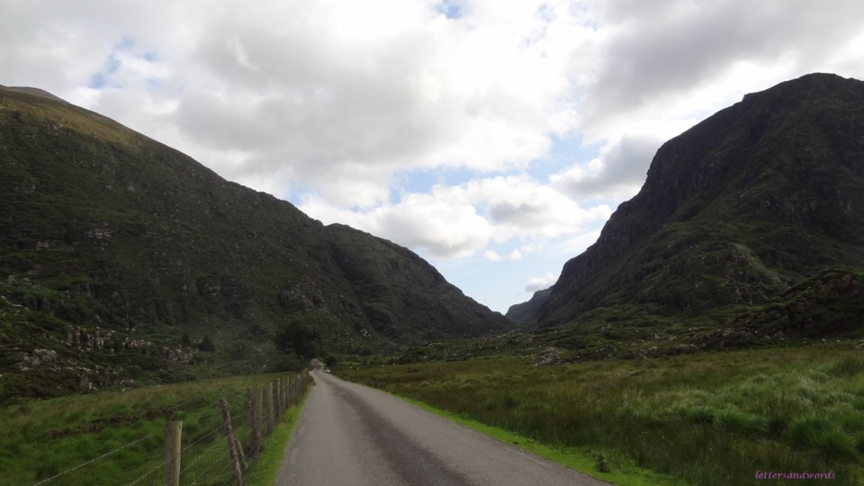 DSC07132.JPG DSC07132.JPG