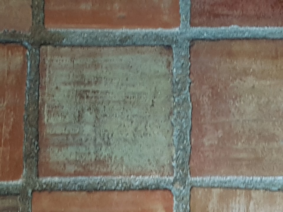 tijoleira.jpg tijoleira.jpg